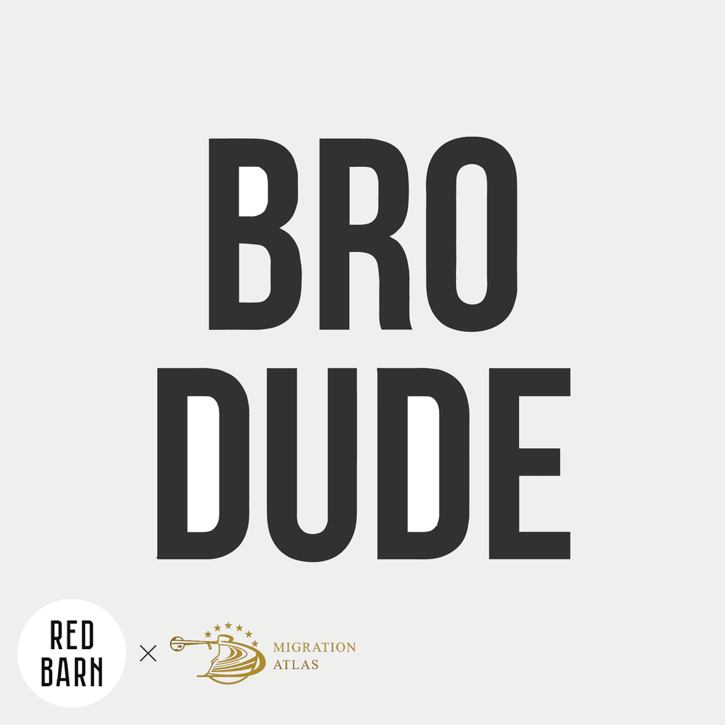Обложка подкаста «BroDude»