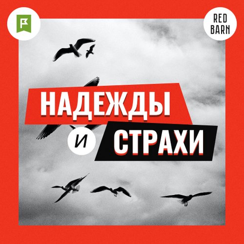 История Алексея Алиферова — генерального директора «Сибстрой»