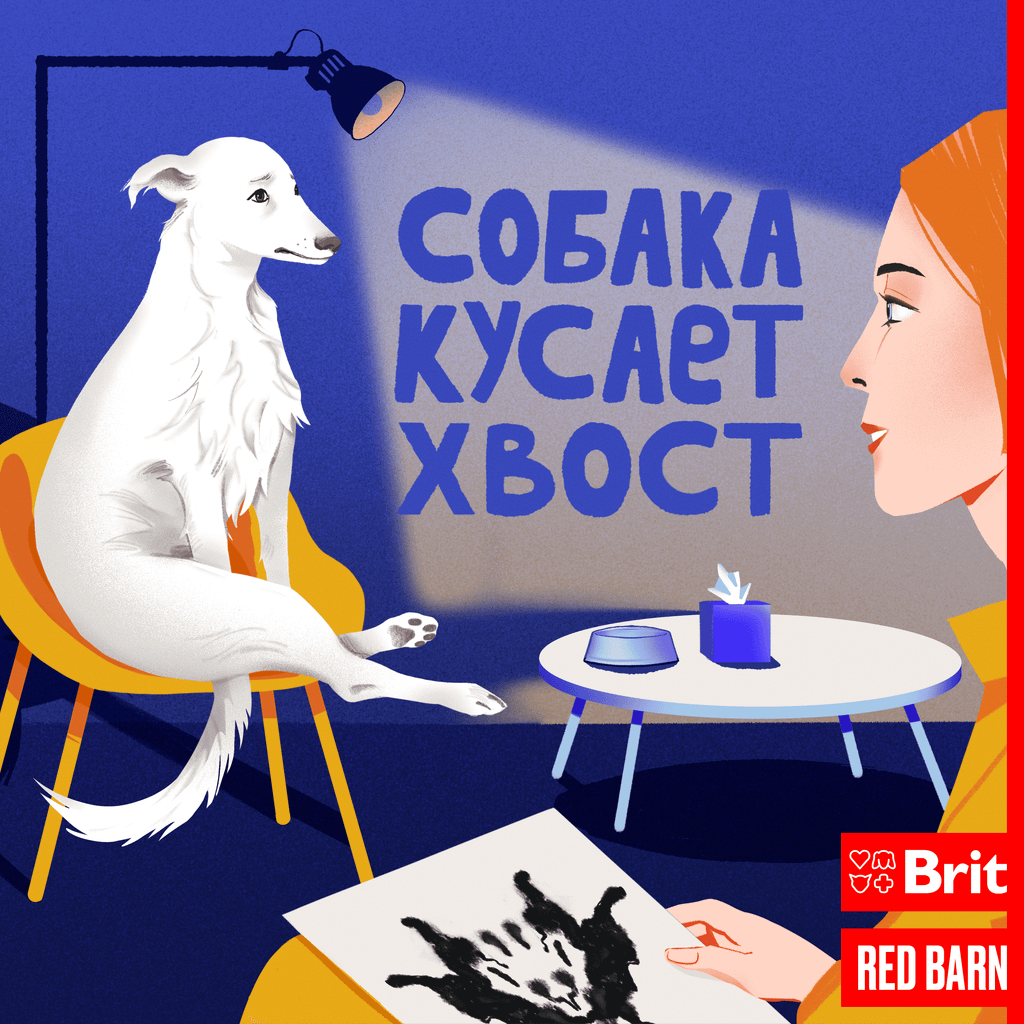 Обложка подкаста «Собака кусает хвост»